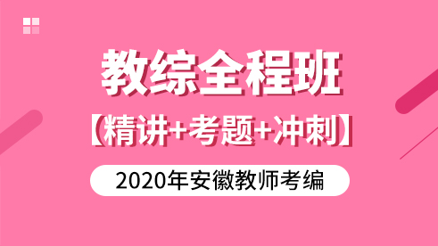 【网课】2020教综全程班-安徽