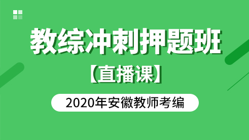 【网课】2020教综冲刺押题班-安徽