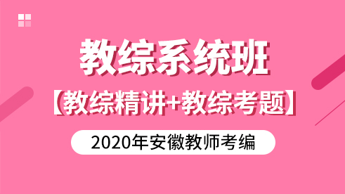 【网课】2020教综系统班-安徽